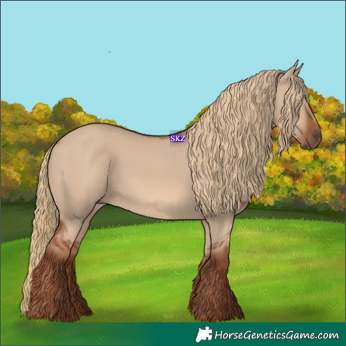 Horse Color:Red Dun 