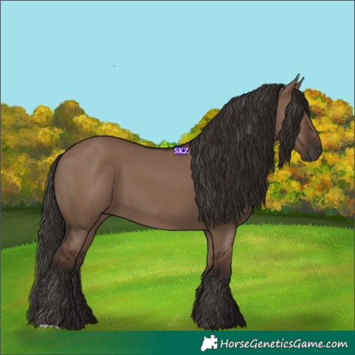 Horse Color:Liver Red Dun 