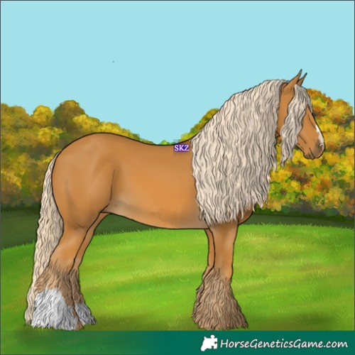 Horse Color:Palomino