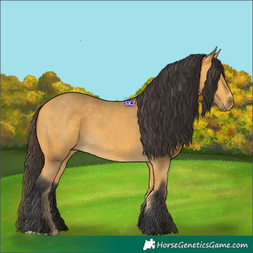 Horse Color:Buckskin