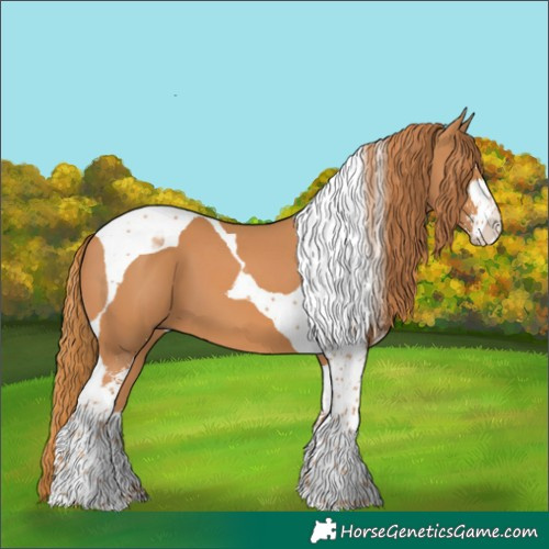 Horse Color:Chestnut Sabino Tobiano
