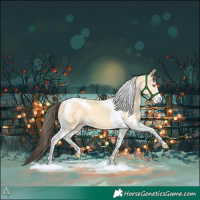 Horse Color:Amber Cream Champagne Sabino Tobiano 