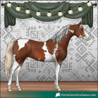 Horse Color:Chestnut Sabino Tobiano 