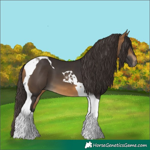 Horse Color:Buckskin Tobiano 