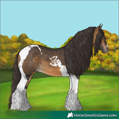 Horse Color:Buckskin Tobiano 