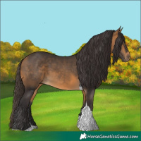 Horse Color:Buckskin Tobiano 