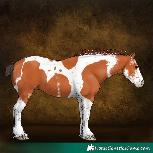 Horse Color:Bay Sabino Tobiano 