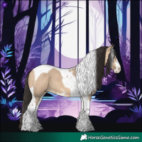 Horse Color:Bay Dun Sabino Tobiano