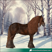 Horse Color:Chestnut Ice Rabicano 