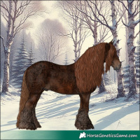Horse Color:Chestnut Ice Rabicano