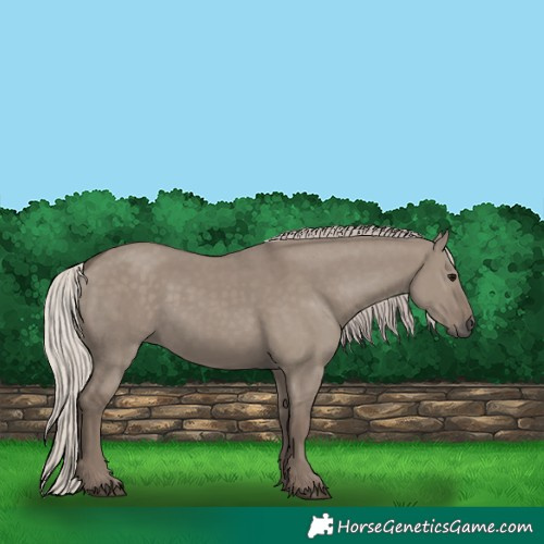 Horse Color:Silver Grullo 