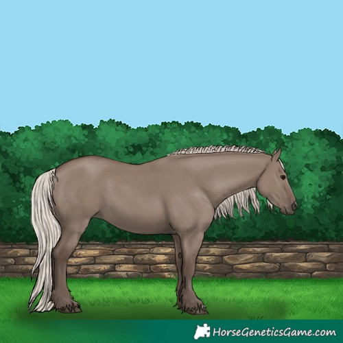 Horse Color:Silver Grullo 