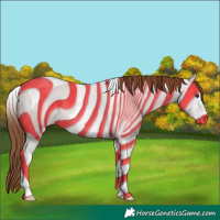 Horse Color:Chestnut Sabino Tobiano 