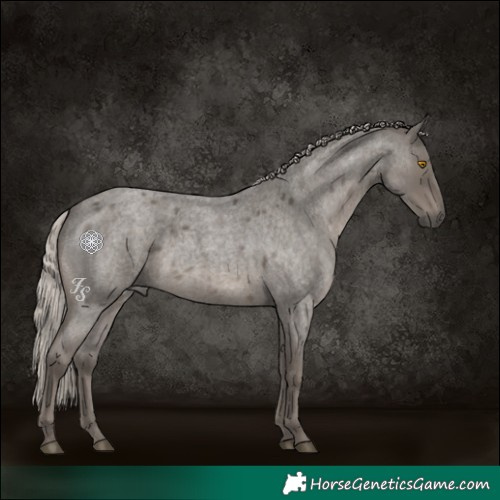 Horse Color:Silver Blue Roan 