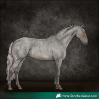 Horse Color:Silver Blue Roan 