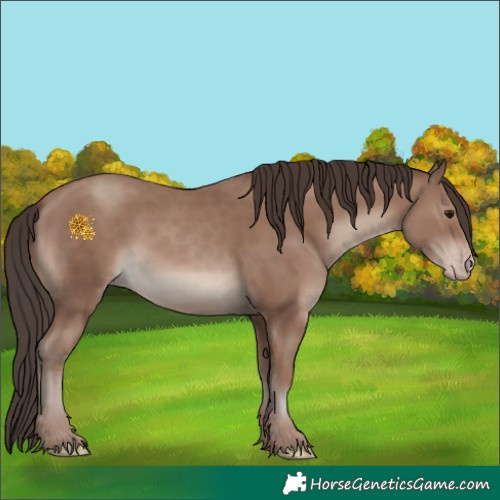 Horse Color:Classic Champagne 