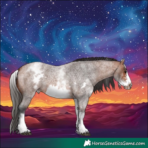 Horse Color:White Spotted Bay Roan Frame 