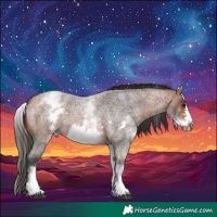 Horse Color:White Spotted Bay Roan Frame 