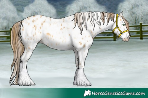 Horse Color:Amber Cream Champagne Sabino Tobiano Near Leopard and Amber Cream Champagne Sabino Tobiano Near Fewspot