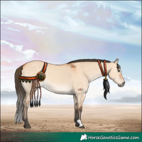 Horse Color:Bay Dun