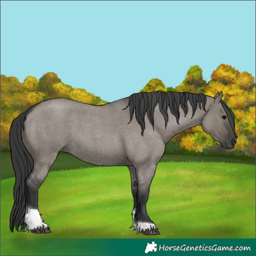 Horse Color:Grullo Roan Tobiano 