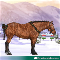 Horse Color:Bay  and Gray Bay 