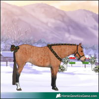 Horse Color:Bay  and Bay Roan 
