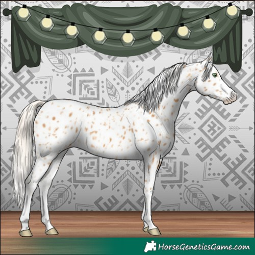 Horse Color:Gold Cream Champagne Leopard and Palomino Leopard