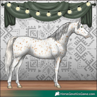 Horse Color:Gold Cream Champagne Appaloosa  and Palomino Appaloosa 