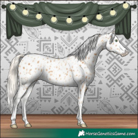 Horse Color:Gold Cream Champagne Appaloosa and Palomino Appaloosa