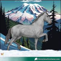Horse Color:Black Appaloosa Rabicano 