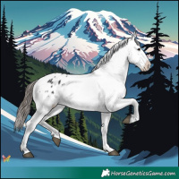 Horse Color:Black Varnish Rabicano 
