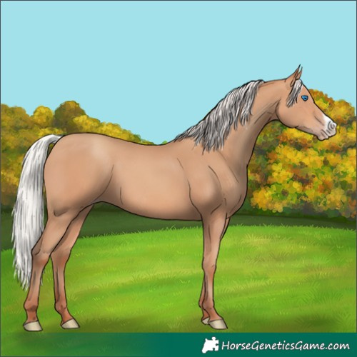 Horse Color:Silver Amber Champagne Frame 