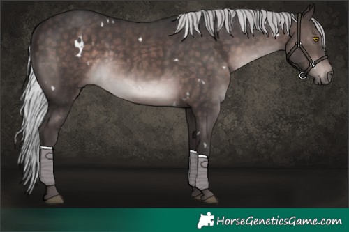 Horse Color:Platinum White Spotted Silver Brown