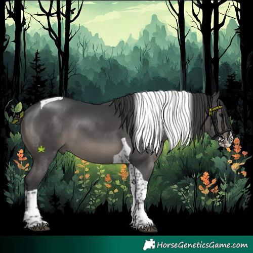 Horse Color:Black Splash Tobiano