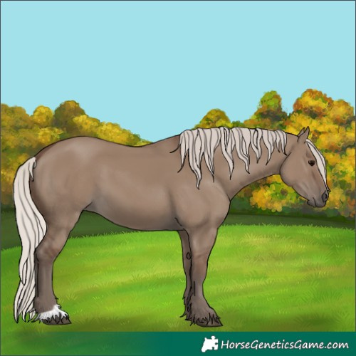Horse Color:Silver Grullo 