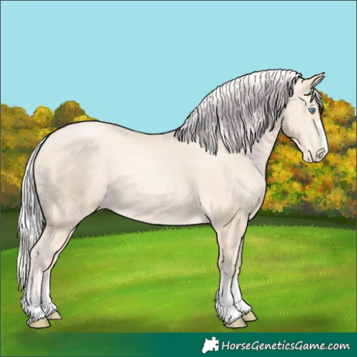 Horse Color:Silver Amber Cream Champagne Pearl