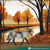 Horse Color:Gray Brown 