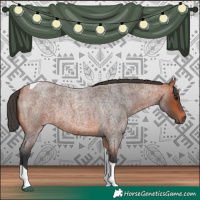 Horse Color:Bay Roan Tobiano