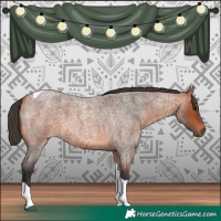 Horse Color:Bay Roan Tobiano