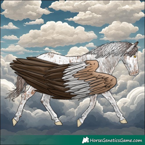 Horse Color:Amber Champagne Sabino Tobiano Appaloosa Rabicano and Amber Champagne Sabino Splash Tobiano Appaloosa Rabicano