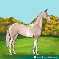 Horse Color:Chocolate Palomino Pearl Tobiano Frame and Chocolate Palomino Pearl Tobiano Frame