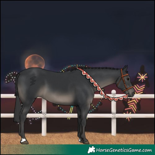 Horse Color:Black 