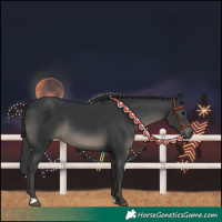 Horse Color:Black 