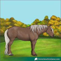 Horse Color:Silver Black 