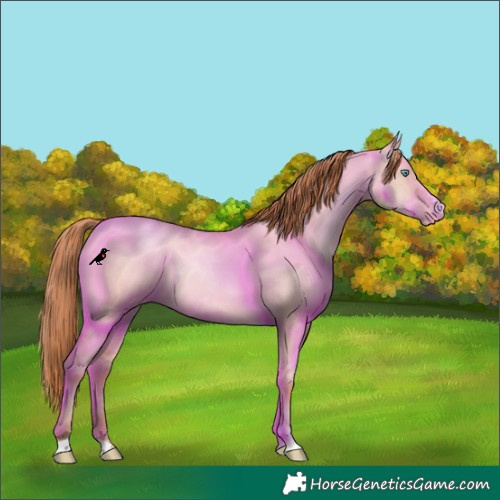 Horse Color:Sable Champagne Pearl Dun Sabino Tobiano