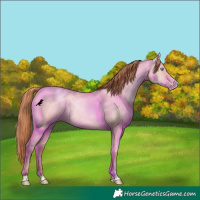 Horse Color:Sable Champagne Pearl Dun Sabino Tobiano 