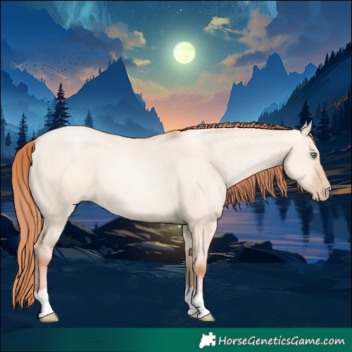 Horse Color:Classic Champagne Pearl Dun Sabino Tobiano 