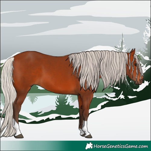 Horse Color:Silver Bay Tobiano 