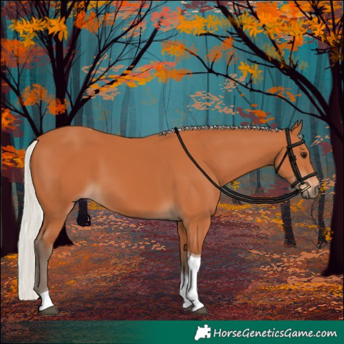 Horse Color:Silver Bay Tobiano 